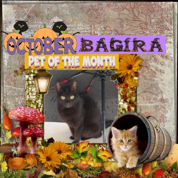 Bagira of the Shahorik family