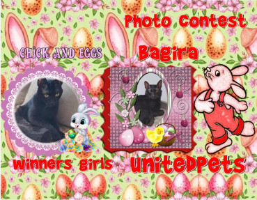 Shahorik uploaded   3  day/s  ago