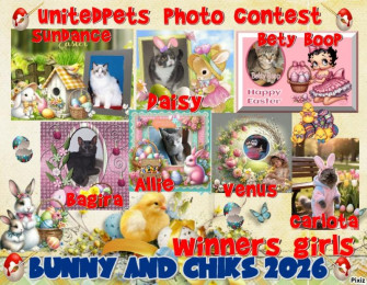 Shahorik uploaded   3  day/s  ago