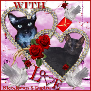 Bagira of the Shahorik family