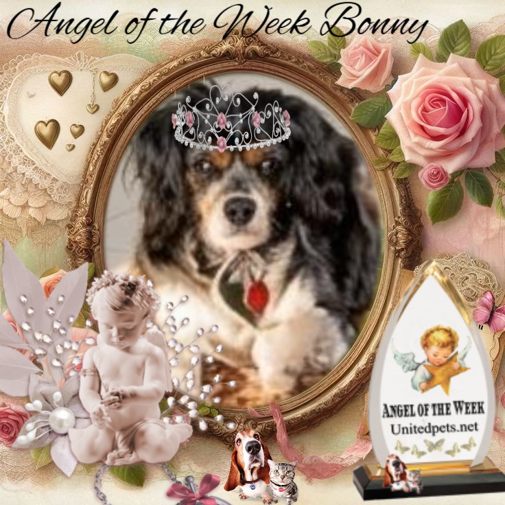 Bonny of the Shahorik family