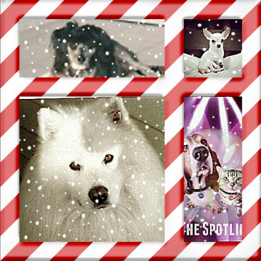 Bonny of the Shahorik family