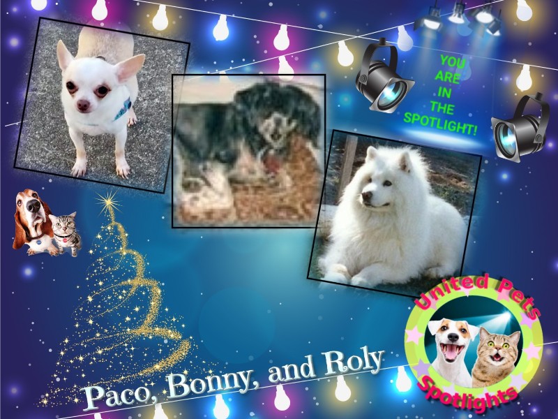 Bonny of the Shahorik family