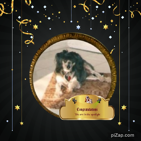 Bonny of the Shahorik family