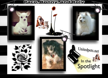 Bonny of the Shahorik family