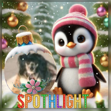 Bonny of the Shahorik family