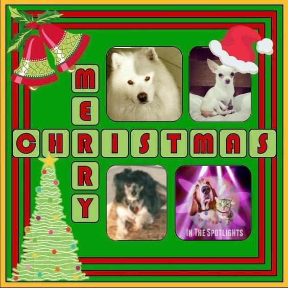 Bonny of the Shahorik family