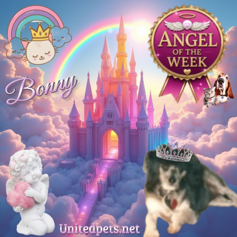Bonny of the Shahorik family