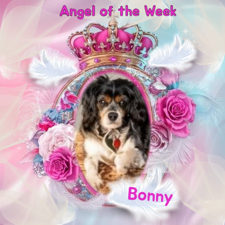 Bonny of the Shahorik family