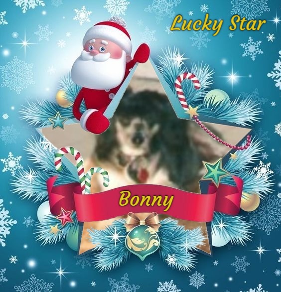 Bonny of the Shahorik family