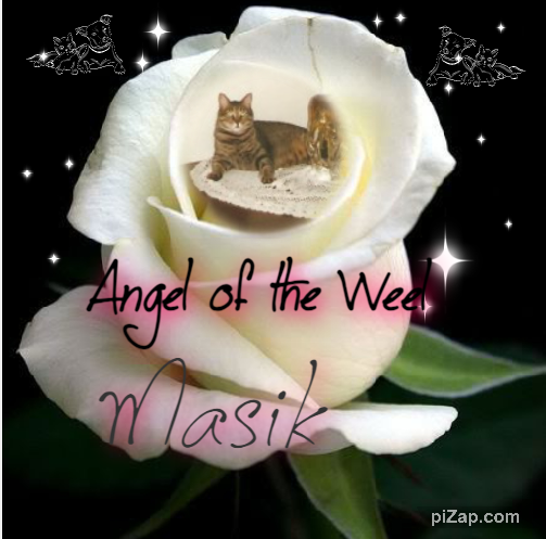 Masik of the Shahorik family