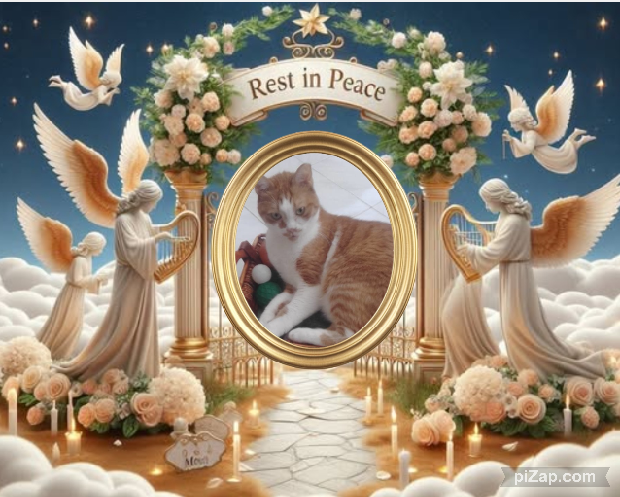 Masik of the Shahorik family