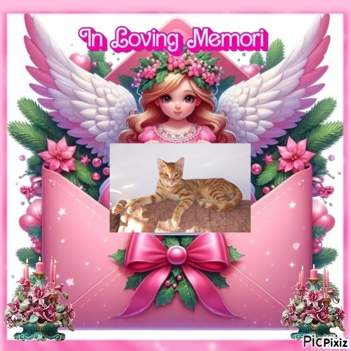 Foxy of the Shahorik family