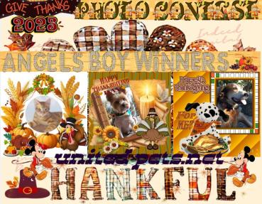 Foxy of the Shahorik family