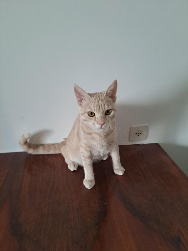 Shahorik uploaded   169  day/s  ago