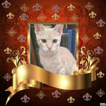 Shahorik uploaded   51  day/s  ago