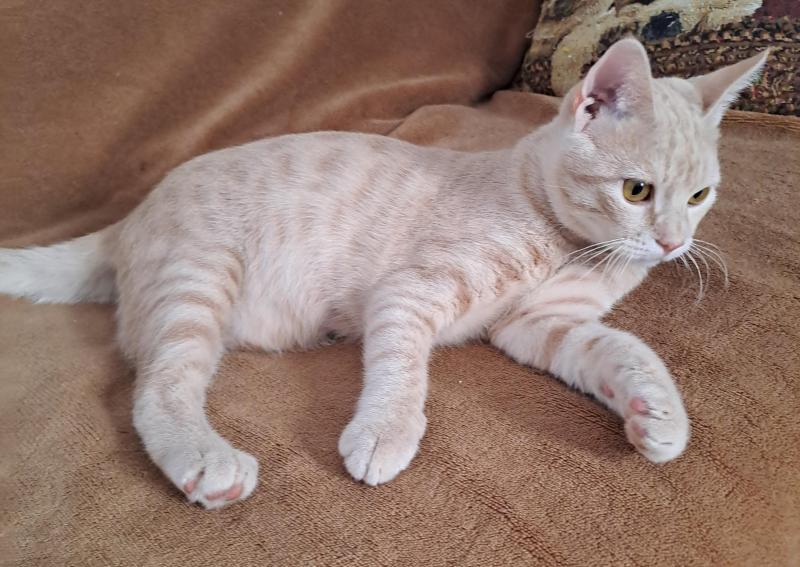 Shahorik uploaded   169  day/s  ago