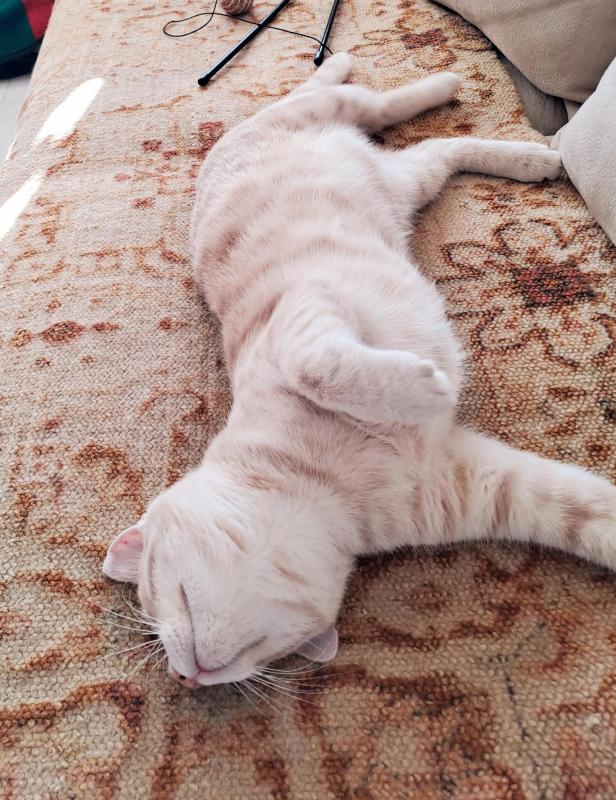 Shahorik uploaded   151  day/s  ago