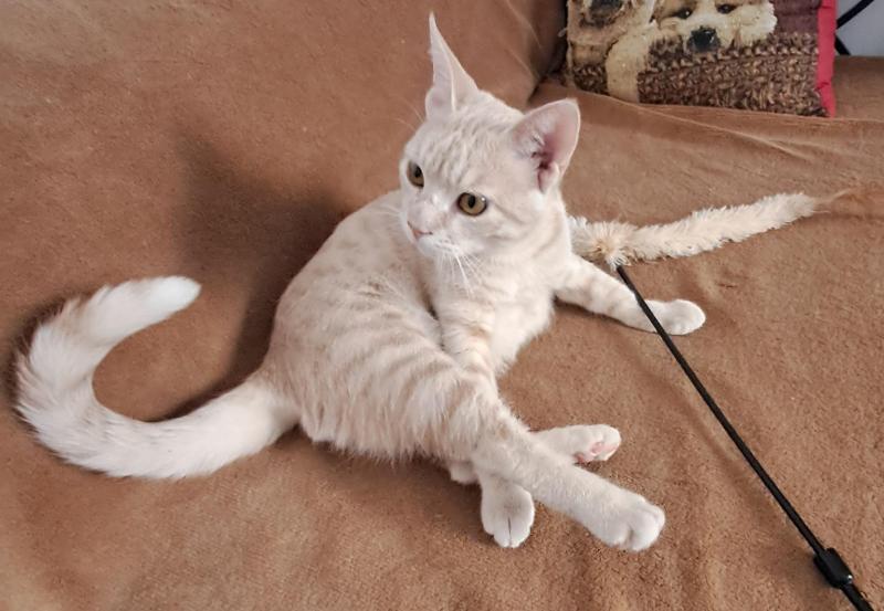 Shahorik uploaded   169  day/s  ago