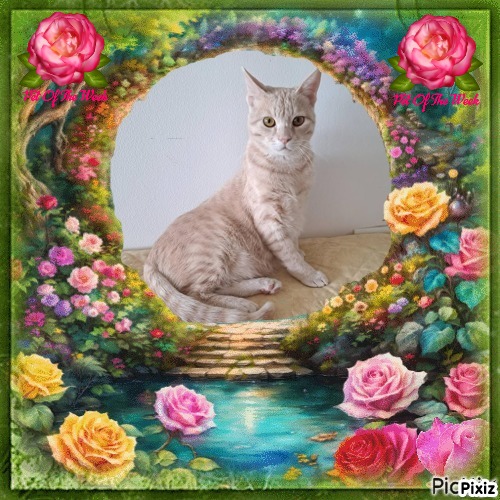 Shahorik uploaded   47  day/s  ago