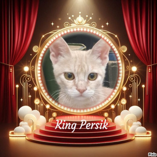 Shahorik uploaded   45  day/s  ago