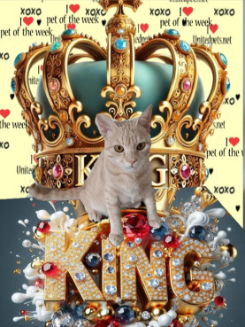 Shahorik uploaded   51  day/s  ago