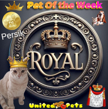 Shahorik uploaded   51  day/s  ago