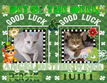 Shahorik uploaded   51  day/s  ago