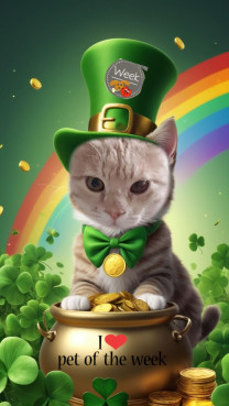 Shahorik uploaded   48  day/s  ago