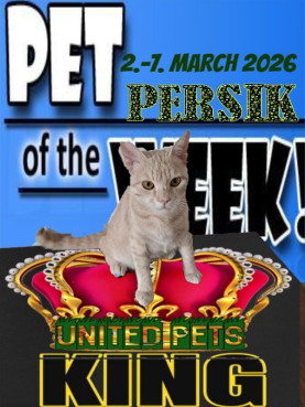 Shahorik uploaded   51  day/s  ago