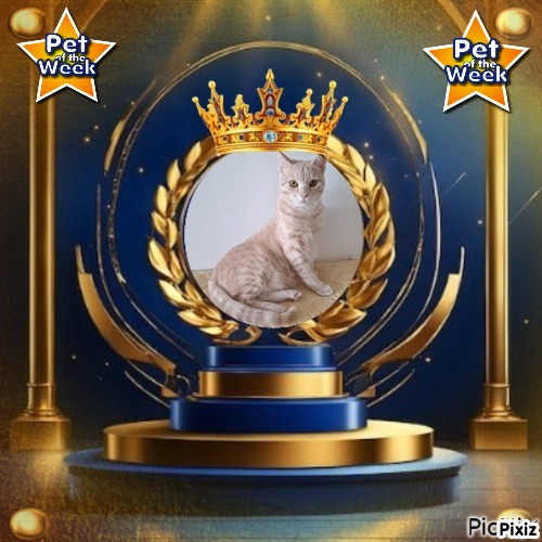 Shahorik uploaded   45  day/s  ago