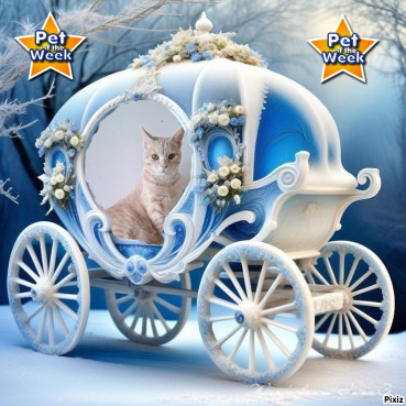 Shahorik uploaded   47  day/s  ago