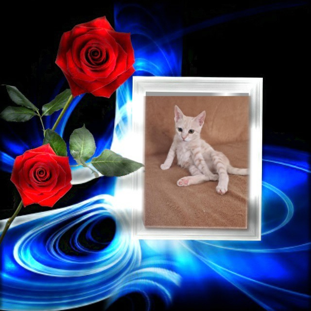 Shahorik uploaded   45  day/s  ago