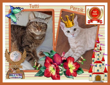 Shahorik uploaded   48  day/s  ago