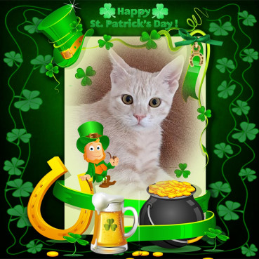 Shahorik uploaded   32  day/s  ago