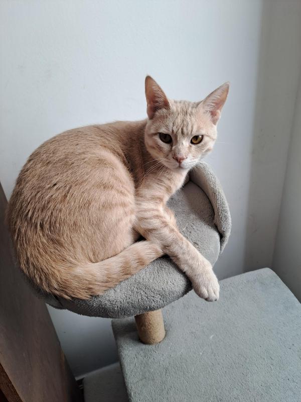 Shahorik uploaded   2  day/s  ago