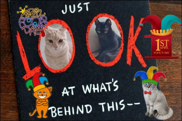 Shahorik uploaded   11  day/s  ago