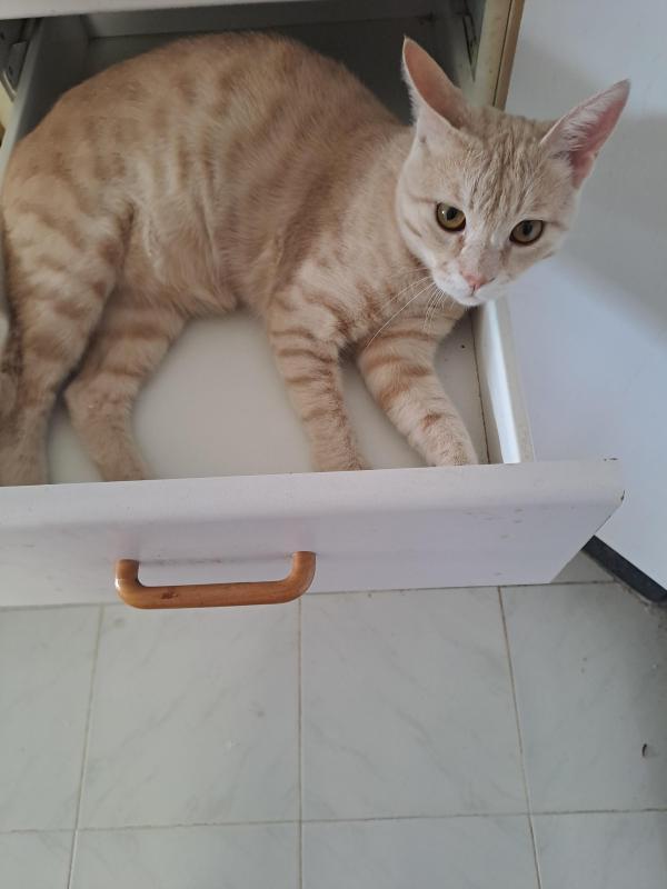 Shahorik uploaded   2  day/s  ago