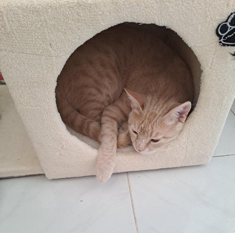 Shahorik uploaded   2  day/s  ago