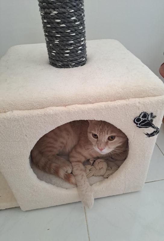 Shahorik uploaded   2  day/s  ago