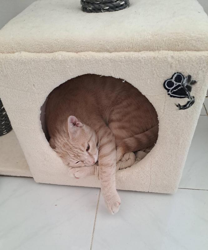 Shahorik uploaded   2  day/s  ago