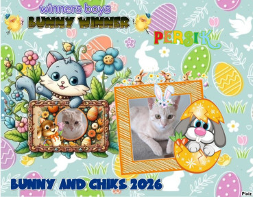 Shahorik uploaded   2  day/s  ago