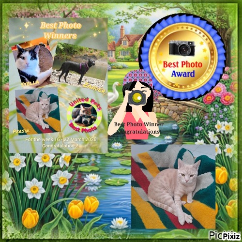 Shahorik uploaded   21  day/s  ago