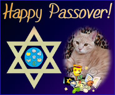 Shahorik uploaded   8  day/s  ago