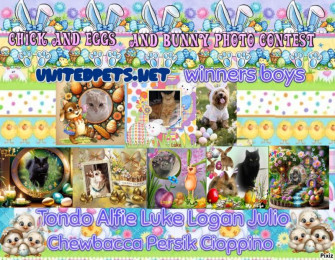 Shahorik uploaded   2  day/s  ago