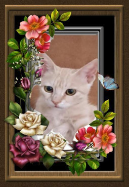 Shahorik uploaded   7  day/s  ago