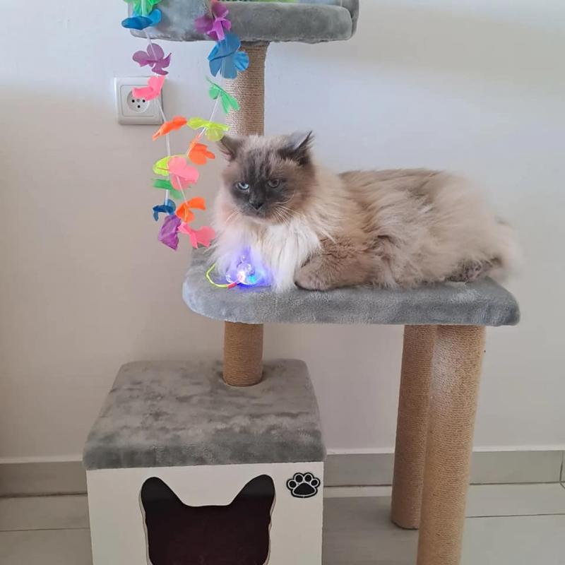 Shahorik uploaded   2 year/s ago