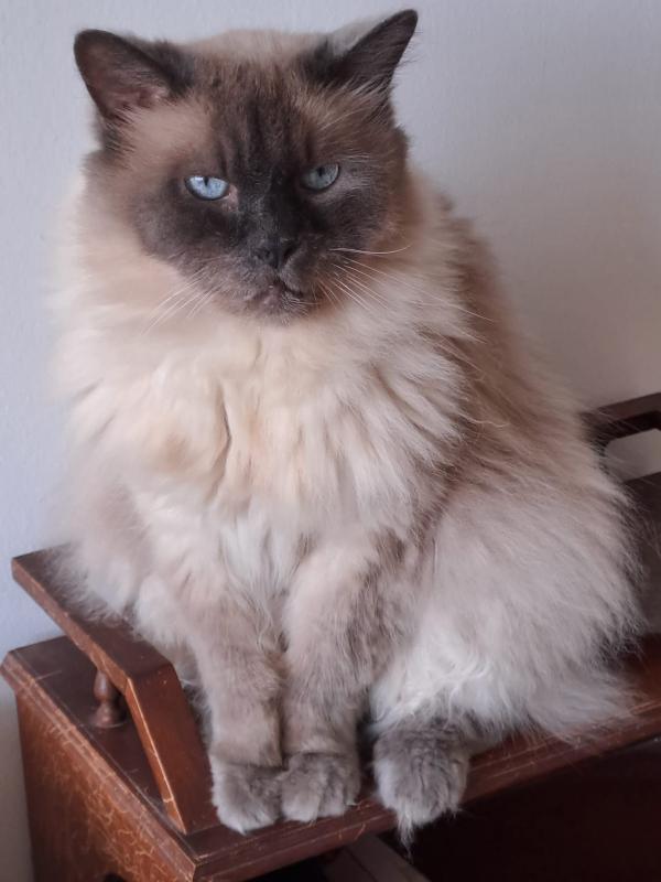 Shahorik uploaded   1 year/s ago