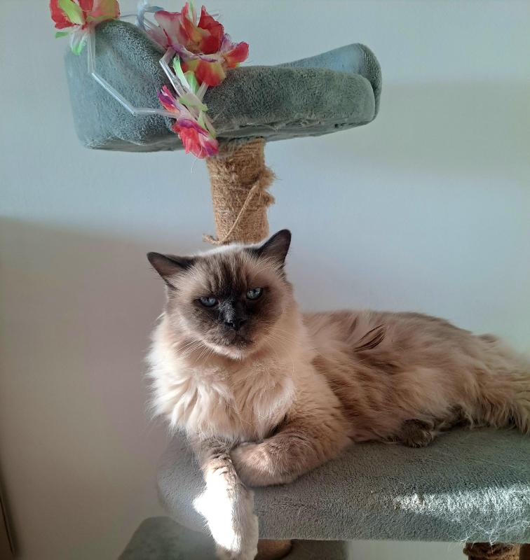 Shahorik uploaded   1 year/s ago