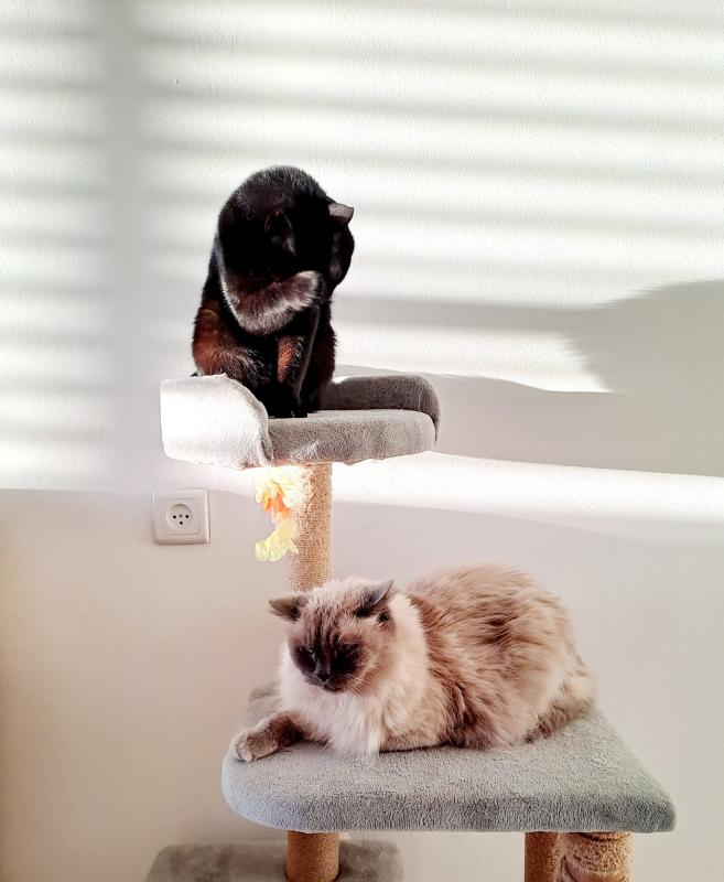 Shahorik uploaded   1 year/s ago